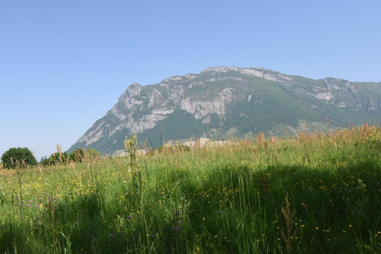 Clair, Spacieux Et Cosy Avec Vue Sur Le Massif De La Chartreuse * Sainte-Helene-du-Lac
